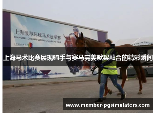 上海马术比赛展现骑手与赛马完美默契融合的精彩瞬间