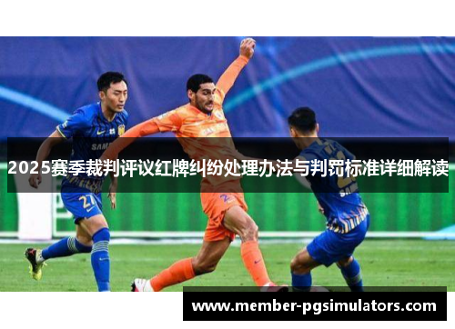 2025赛季裁判评议红牌纠纷处理办法与判罚标准详细解读