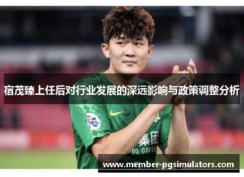 宿茂臻上任后对行业发展的深远影响与政策调整分析