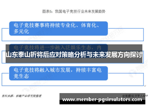 山东泰山折将后应对策略分析与未来发展方向探讨