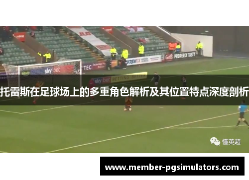 托雷斯在足球场上的多重角色解析及其位置特点深度剖析
