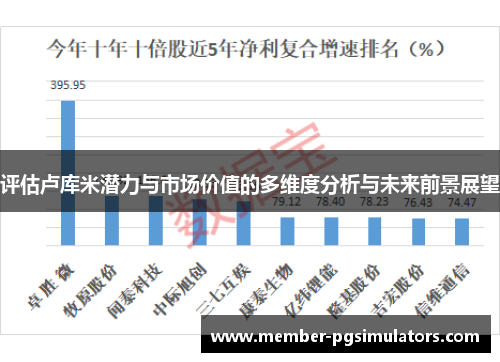 评估卢库米潜力与市场价值的多维度分析与未来前景展望