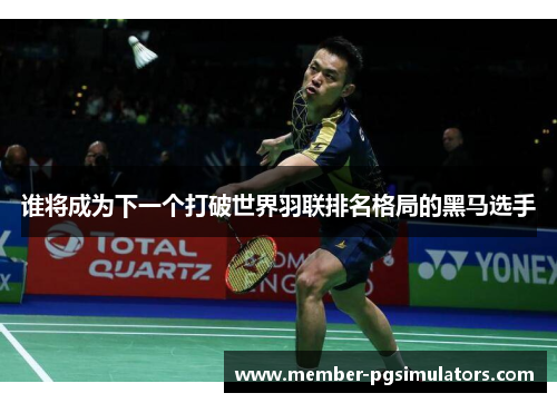 谁将成为下一个打破世界羽联排名格局的黑马选手