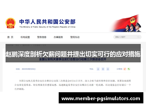 赵鹏深度剖析欠薪问题并提出切实可行的应对措施