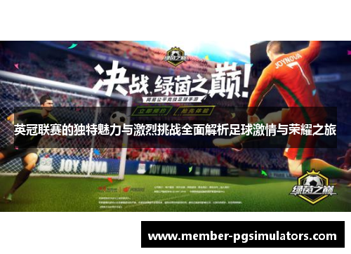 英冠联赛的独特魅力与激烈挑战全面解析足球激情与荣耀之旅