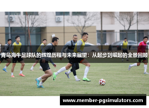 青岛海牛足球队的辉煌历程与未来展望：从起步到崛起的全景回顾