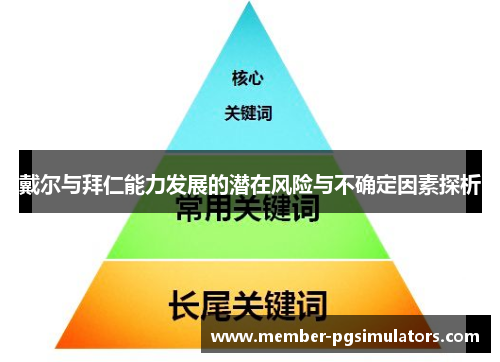 戴尔与拜仁能力发展的潜在风险与不确定因素探析