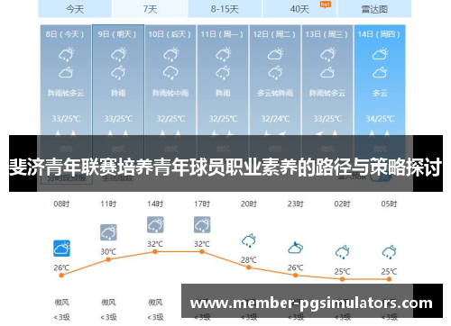 斐济青年联赛培养青年球员职业素养的路径与策略探讨