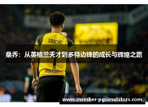 桑乔:从英格兰天才到多特边锋的成长与辉煌之路 桑乔:从英格兰天才到多特边锋的成长与辉煌之路