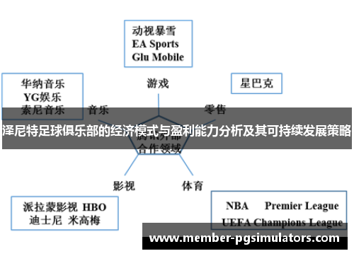 泽尼特足球俱乐部的经济模式与盈利能力分析及其可持续发展策略