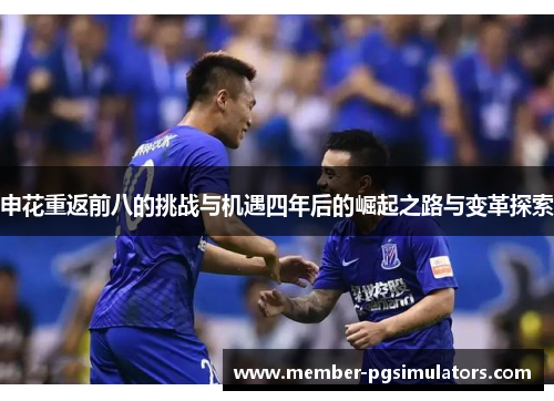 申花重返前八的挑战与机遇四年后的崛起之路与变革探索